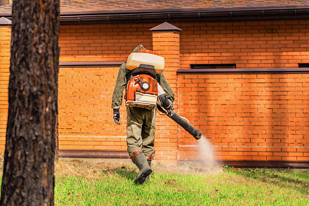Top rated local Pest Control specialists in Tuckerman, AR